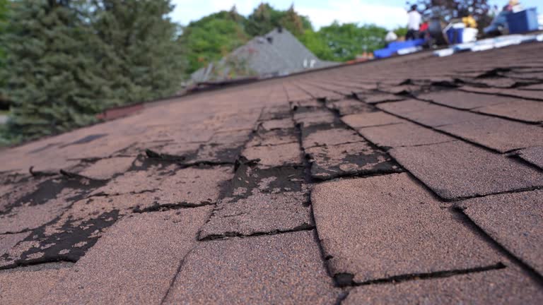 Best Asphalt Shingles Roofing  in Royal Hawaiian Estates, HI